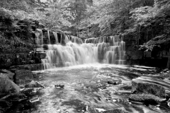 Lower Whitfield Gill, near Askrigg, Wensleydale