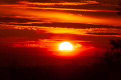 SRB_20201019_1808_ORIG