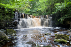 Lower Whitfield Gill, near Askrigg, Wensleydale