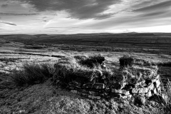 Swaledale